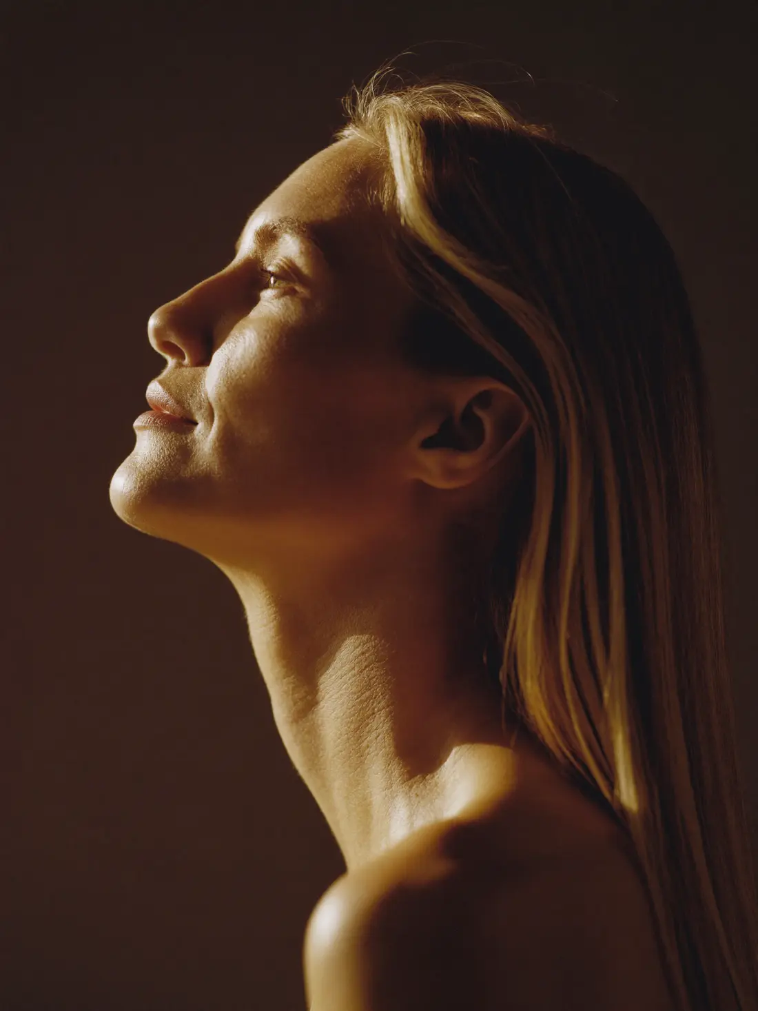 Perfil editorial de mujer con el mentón erguido, luz dorada dibujando la línea mandibular y el cuello